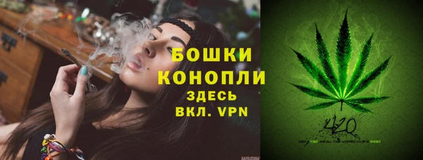 2c-b Зеленодольск