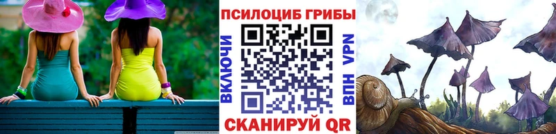 купить закладку  Кандалакша  Галлюциногенные грибы GOLDEN TEACHER 