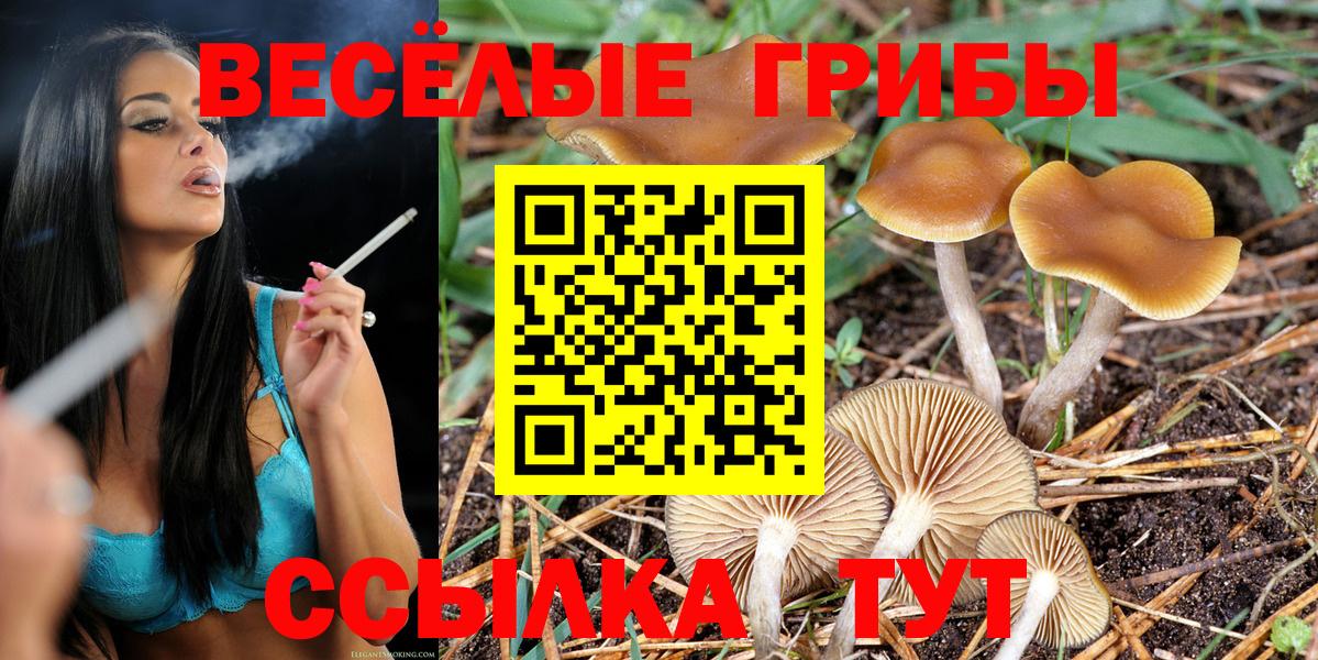 Галлюциногенные грибы Psilocybine cubensis  Псилоцибиновые грибы Cubensis  Вход с VPN  купить наркотик  Кандалакша 