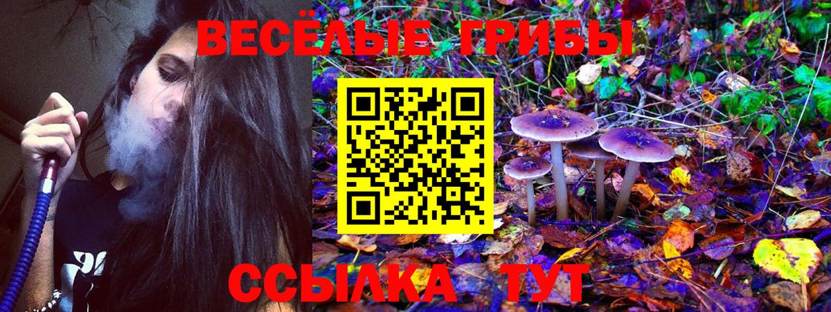 Галлюциногенные грибы ЛСД Кандалакша